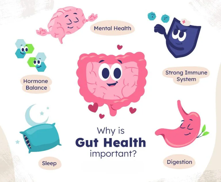 Gut health and hormone balance
