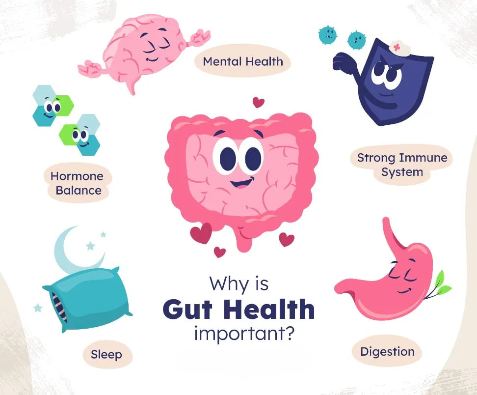 Gut health